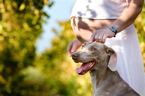 mujeres follando con perros grandes|Mujeres pegadas a perros grandes